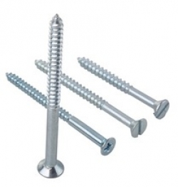 Stainless steel  screws